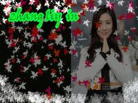 Zhang li yin