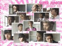 Super Junior Only13 Ping