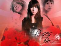 Roses BoA ♥