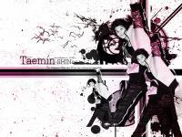 SHINee World : Taemin
