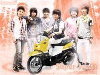 >>SJ  Yamaha Fino<<