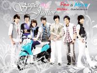 .:Super Junior-Fino:.