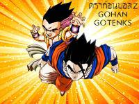 Dragonball Z : Gotenks Gohan