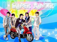 Super Junior : Fino