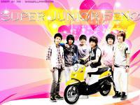 Super Junior Feno