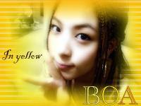 Boa In yellow