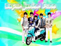 Super Junior Fino