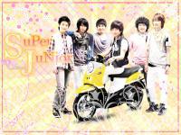 Super Junior LoVe Fino^o^