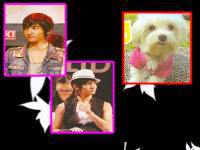 หมาของชางมิน