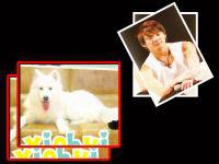 หมาของxiah