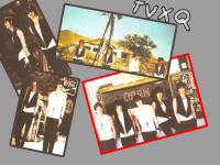 tvxq