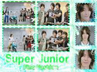 >> Fino Fashion  Donghae<<