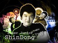 SJ : ShinDong +-+