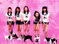 원더걸스 wonder girls