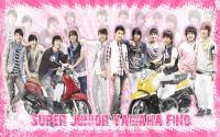 >>SJ Fino<< Ping