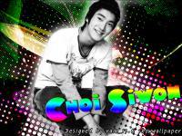 หนุ่มตาหวานในยามราตรี : Mr.Siwon at nihht