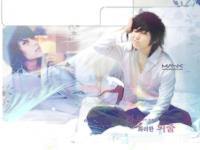 Junki Soft