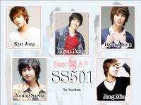 SS501