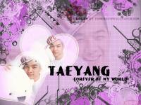 TAEYANG Purple