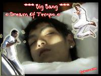 ๐ Dream Of Tempo ๐