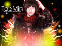 SHINee : TaeMin