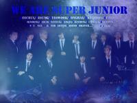 Super Junior ELF