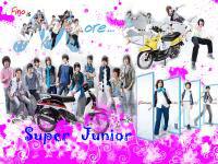 super junior