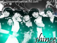 shinee