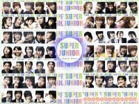 Super Junior  13