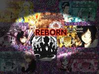 Reborn