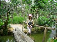 melody