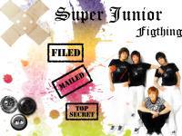 Super Junior Figthing