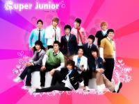 Super Junior :: Ivy