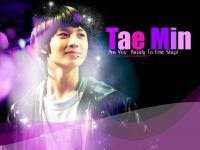 Tae Min : Shinee