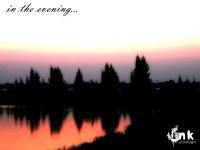 in the evening
