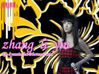zhang li yin