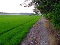 ทางผ่าน