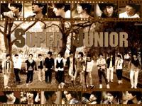 SJ Boy in City