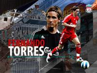 /| 9 | : Fernando Torres