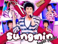 Lee Sungmin [SJ] :: Vol.1