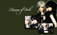 Dream of Doll