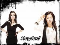 Maydoni