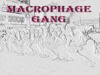 macrophage gang