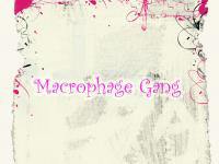 macrophage gang