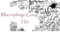 gang