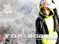 T.O.P Vol.1