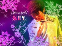 Wonderful of Key