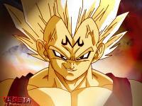 DragonballZ :: Vegeta