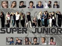Super junior**
