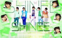 SHINee Love Like..